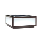 Lampes solaires d'extérieur carrées plates noires