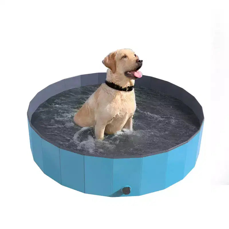 Piscine portable pour chien pour grands chiens – Baignoire pliable en plastique avec drain et sac de transport pour animaux de compagnie et jeux de jardin avec les enfants par PETMAKER (bleu)