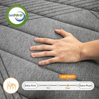 Matelas SweDrea Plush Hybrid en mousse à mémoire de forme 8/12 po. respirant et rafraîchissant, certifié CertiPUR-US, SGS et OEKO-TEX®.
