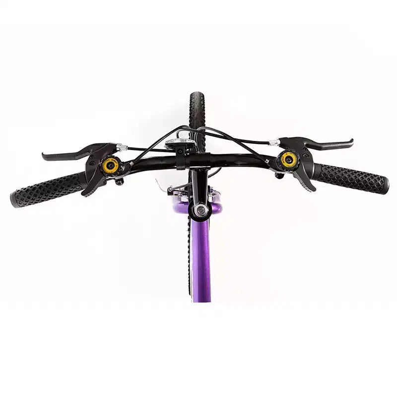 Bici da montagna da donna Titan Bikes Wildcat a 12 velocità, viola/nera