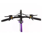 Bici da montagna da donna Titan Bikes Wildcat a 12 velocità, viola/nera