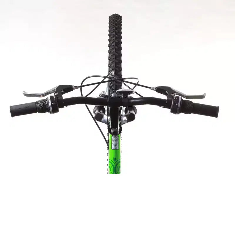 Bicicletta da montagna Titan Trail da uomo con sospensione a 21 velocità, telaio da 18 pollici, verde e nero